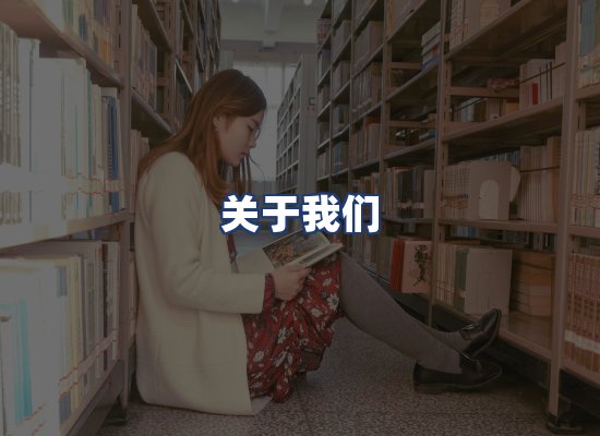 关于我们